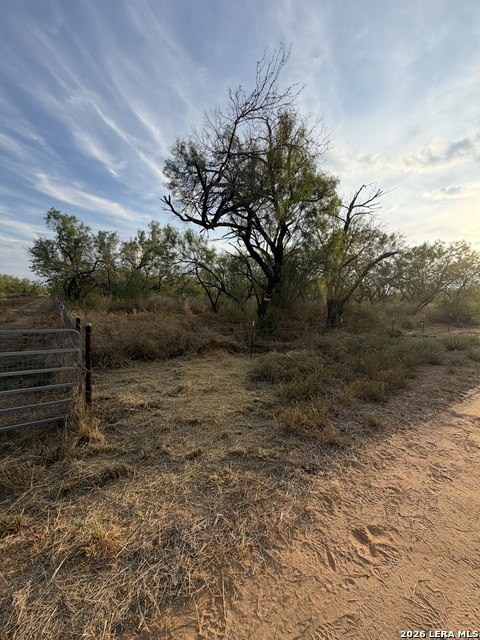 307 Bluebonnet Property Photo 2