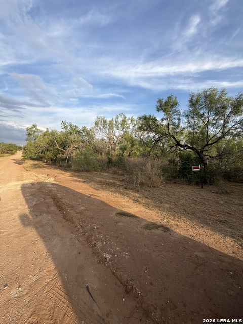 307 Bluebonnet Property Photo 4