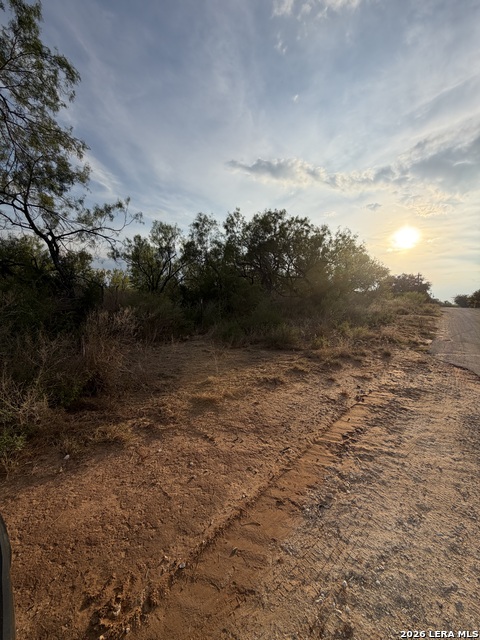 307 Bluebonnet Property Photo 5