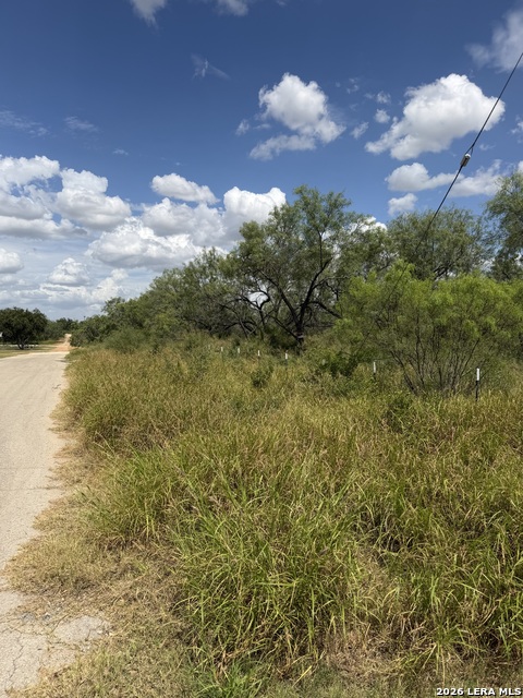 307 Bluebonnet Property Photo 6