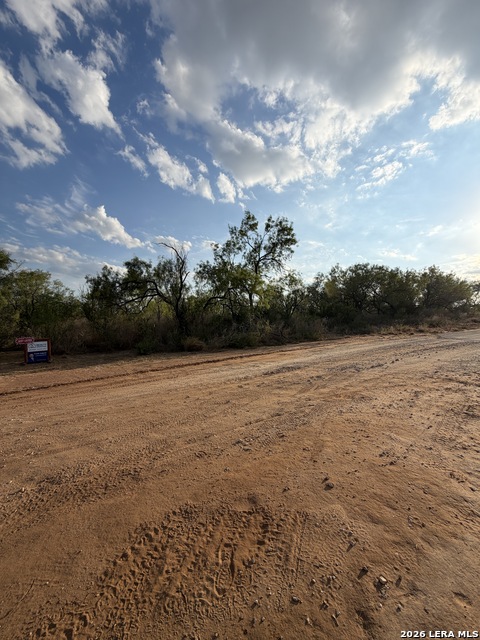 307 Bluebonnet Property Photo 6