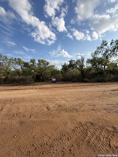 307 Bluebonnet Property Photo 8