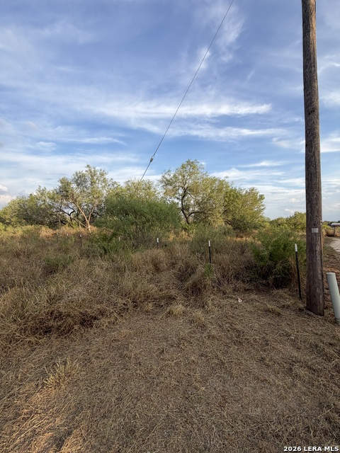 307 Bluebonnet Property Photo 9