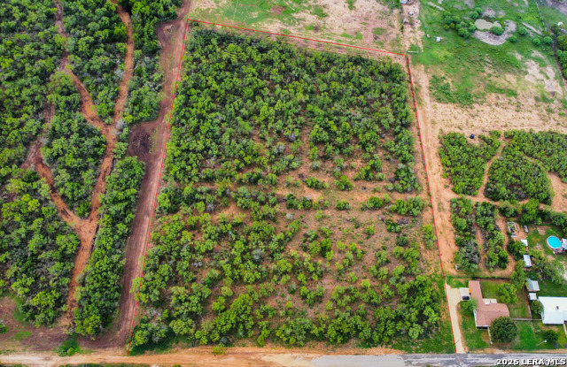 307 Bluebonnet Property Photo 10