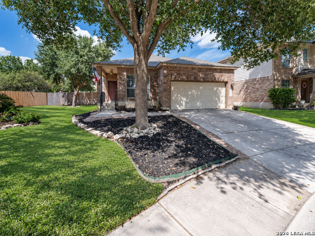 11107 Verbena Path Property Photo 4