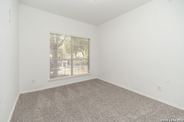 11107 Verbena Path Property Photo 22