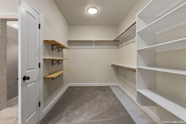 116 Hidden Forest Dr Property Photo 13