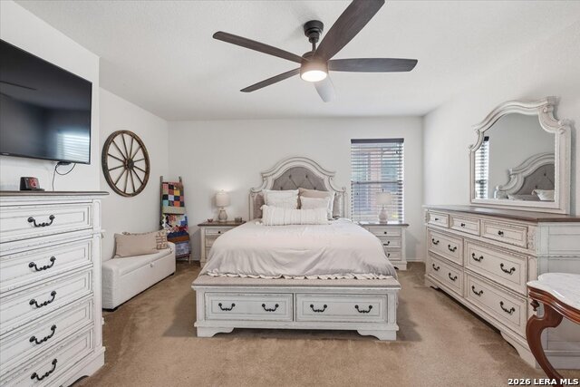 911 Trilby Property Photo 14