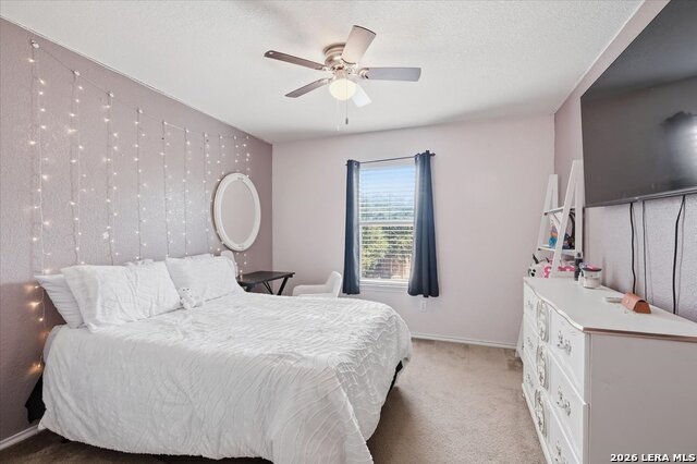 911 Trilby Property Photo 18