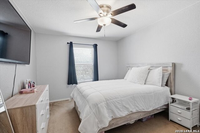 911 Trilby Property Photo 19