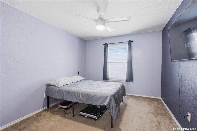911 Trilby Property Photo 19
