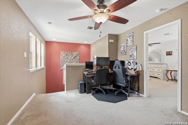 911 Trilby Property Photo 21