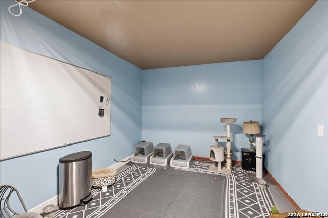 911 Trilby Property Photo 24