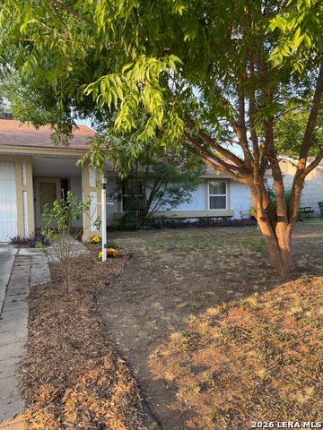 6715 Spring Haven St Property Photo 2