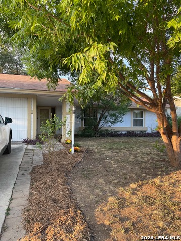 6715 Spring Haven St Property Photo 3