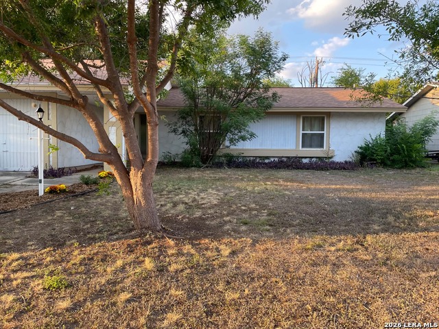 6715 Spring Haven St Property Photo 4