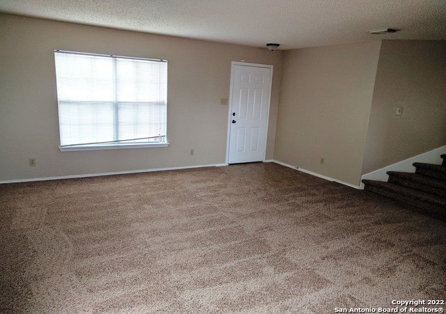 7402 Autumn Brk Property Photo 3