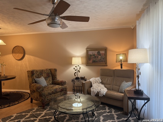 8702 Village Dr Property Photo 3