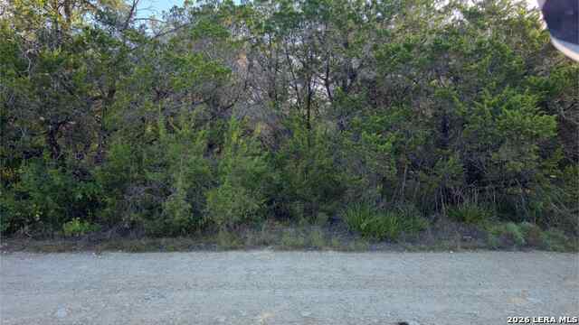 1224 Antelope Property Photo 23