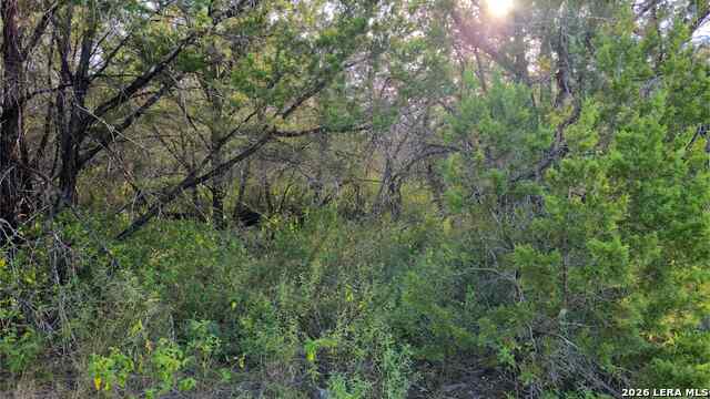 1224 Antelope Property Photo 26