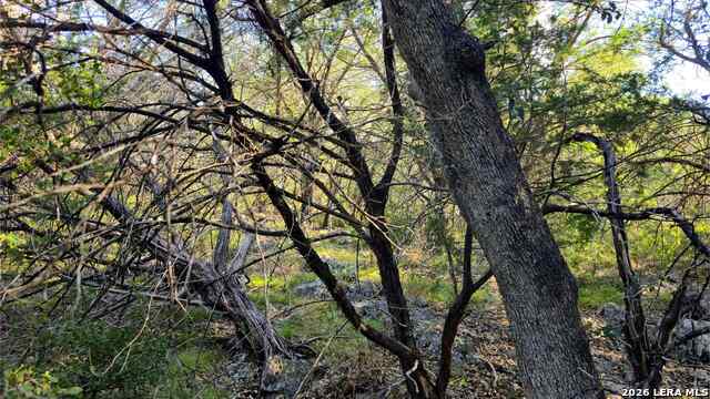 1224 Antelope Property Photo 27