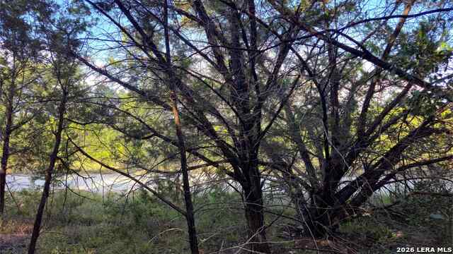 1224 Antelope Property Photo 29