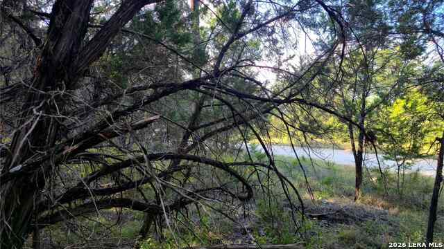 1224 Antelope Property Photo 30