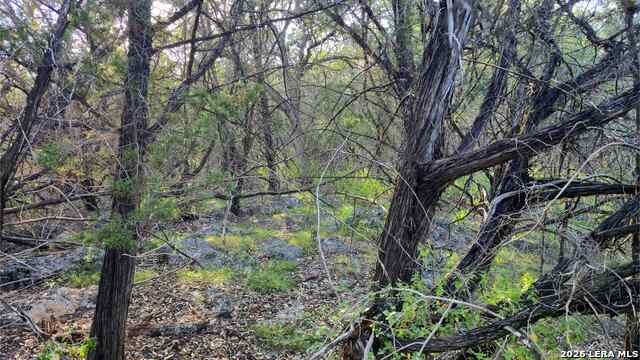 1224 Antelope Property Photo 31