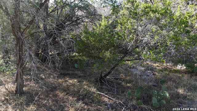 1224 Antelope Property Photo 32