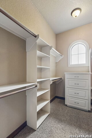 18872 Helotes Rdg Property Photo 68
