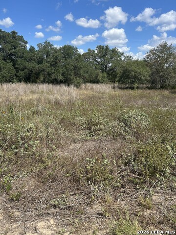 207 Charcoal Company Ln Property Photo 1