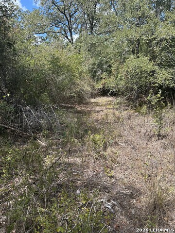 207 Charcoal Company Ln Property Photo 2