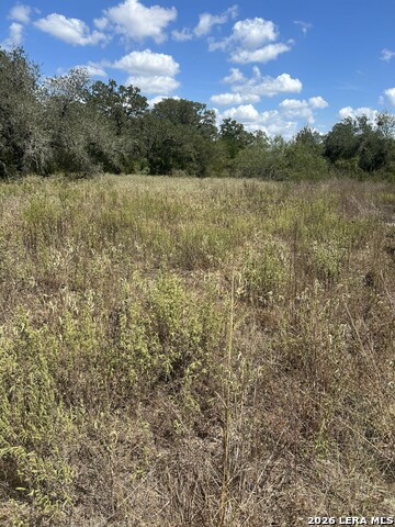 207 Charcoal Company Ln Property Photo 3