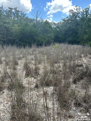 207 Charcoal Company Ln Property Photo 4