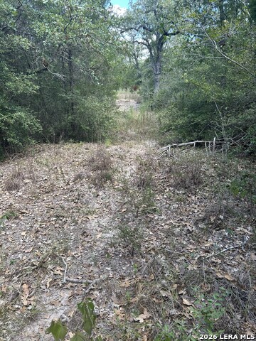 207 Charcoal Company Ln Property Photo 6