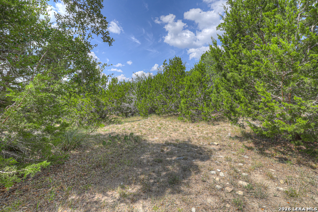257 Berry Oaks Dr Property Photo 60