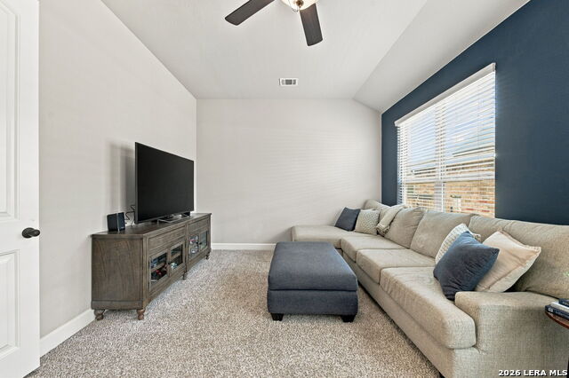 29031 Pfeiffers Gate Property Photo 19