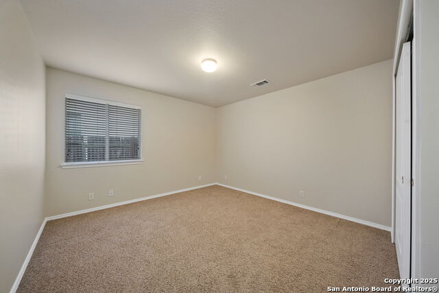 3625 Diamond Fls Property Photo 24