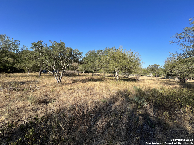 6519 Putman Pass Property Photo 1