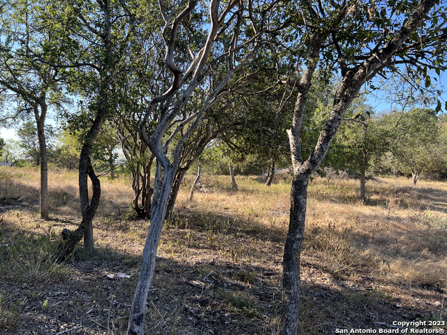 6519 Putman Pass Property Photo 2