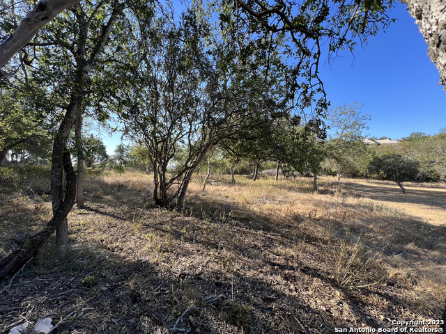 6519 Putman Pass Property Photo 3