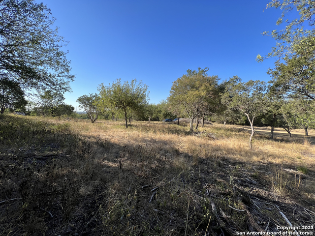 6519 Putman Pass Property Photo 4