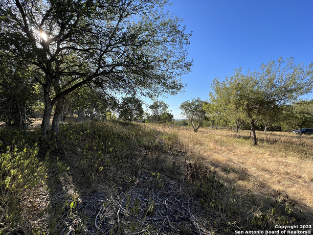6519 Putman Pass Property Photo 5
