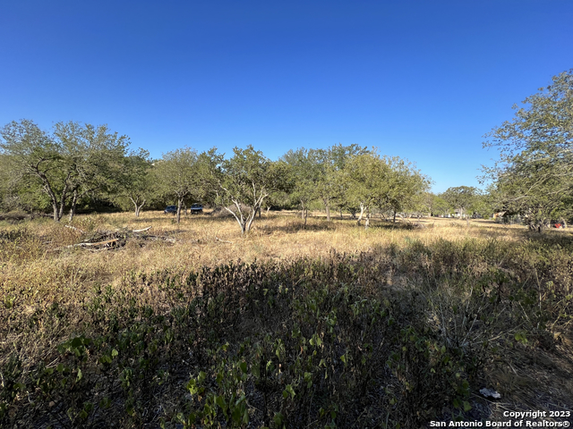 6519 Putman Pass Property Photo 6