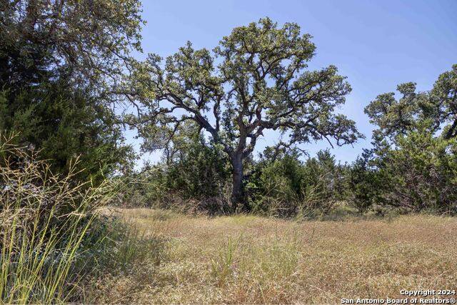 7726 Ramble Ridge Property Photo 1