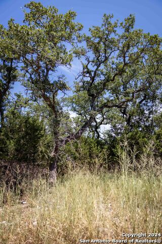 7726 Ramble Ridge Property Photo 8