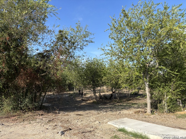 11207 Amhurst Property Photo