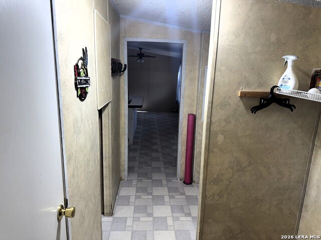 160 County Road 733 Property Photo 11