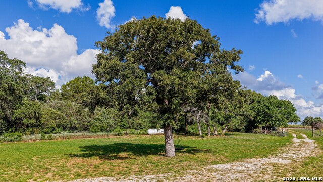 163 County Road 283 Property Photo 5