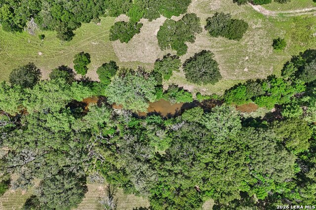 10279 Us Hwy 290 Property Photo 34